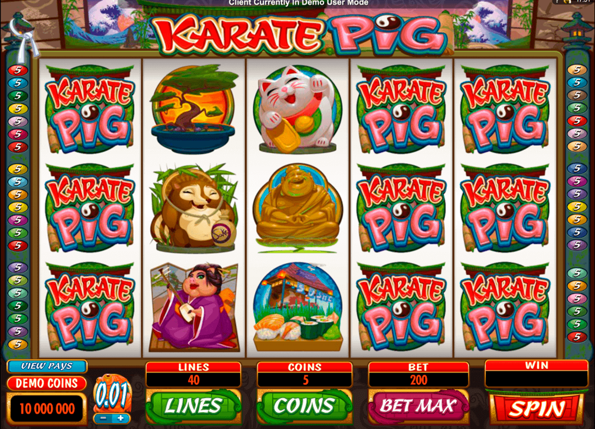 Casino Karate Pig