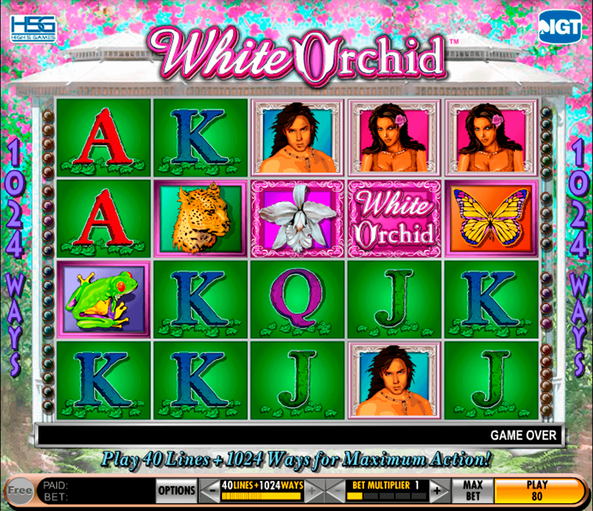 Free White Orchid Slots