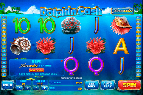 dolphin cash playtech