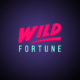 Wild Fortune Casino Wild Fortune Casino