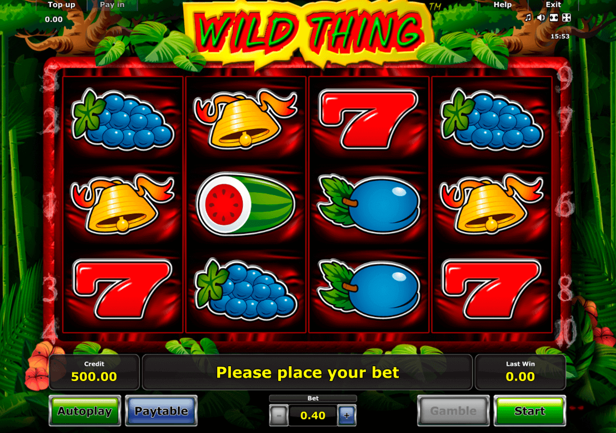 wild thing casino